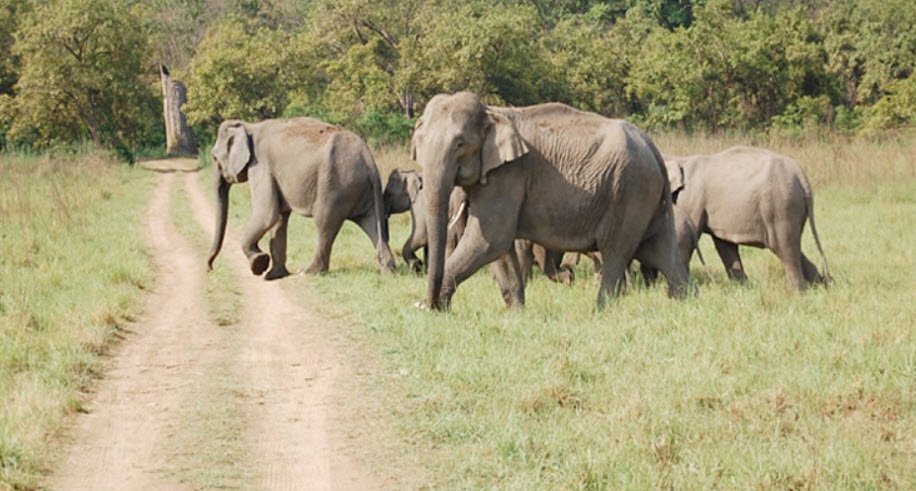 Sonanadi Wildlife Sanctuary